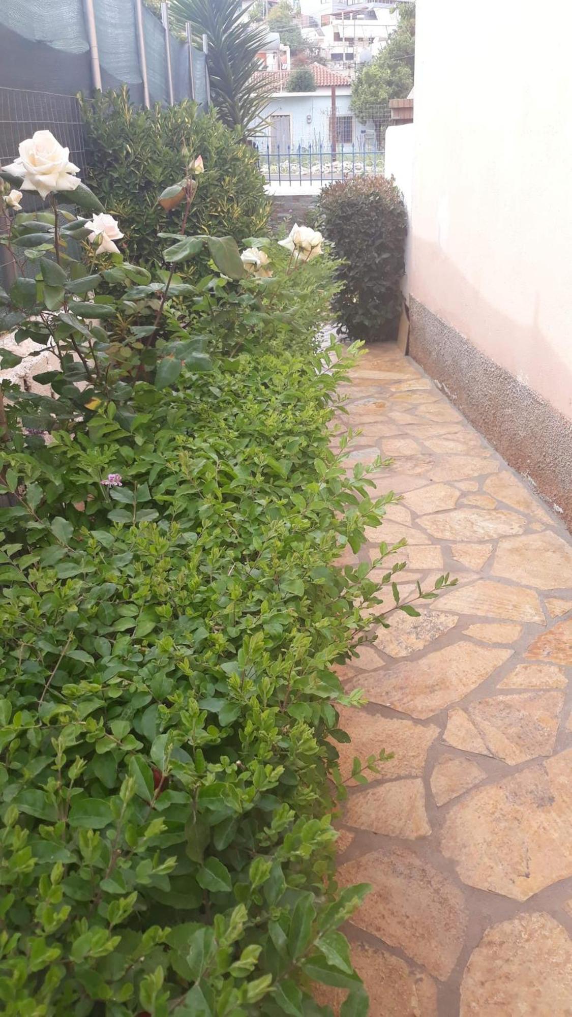 Vila Shuka Ksamil Sarande Bagian luar foto